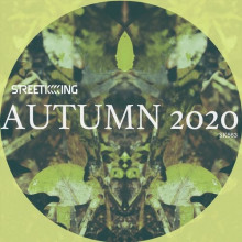 VA - Street King presents Autumn 2020 (Street King)