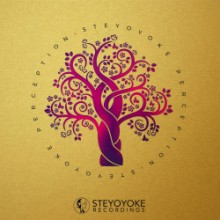 VA - Steyoyoke Perception Vol 8 (Steyoyoke)