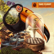 VA - Take Flight (DIRTYBIRD)