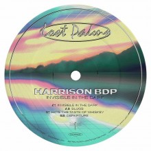 Harrison BD - Invisible In The Dark (Lost Palms)