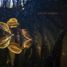 Placid Angles - Touch The Earth (Figure)
