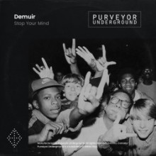 Demuir - Stop Your Mind (Purveyor Underground)