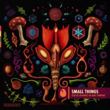 Steve Darko, Nik Thrine - Small Things (DIRTYBIRD)