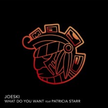 Joeski - What Do You Want Feat Patricia Starr (Maya)