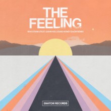 Riva Starr & Gavin Holligan - The Feeling (Honey Dijon Remix) (Snatch!)