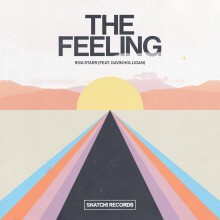 Riva Starr, Gavin Holligan - The Feeling (Snatch!)