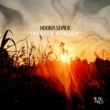 Booka Shade – Infused Reality (Blaufield Music)