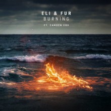 Eli & Fur - Burning (Positiva)