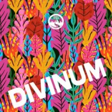 VA - Divinum (Natura Viva In The Mix)