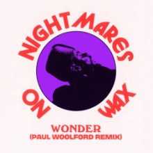 Nightmares On Wax - Wonder (Paul Woolford Remix) (Warp)