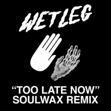 Wet Leg – Too Late Now (Soulwax Remix) (Domino)