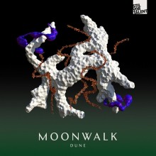 Moonwalk - Dune (Stil Vor Talent)
