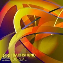 Dachshund - Sureal (Bar 25 Music)