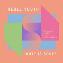 REBEL YOUTH - What Is Soul? (30 Yrs Anniversary Remixes) (Systematic)