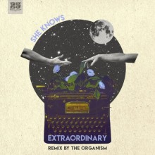 She Knows - Extraordinary (Bar 25 Music)