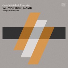 Joyce Muniz, Demetrius - What's Your Name (23by23 Remixes) (Poker Flat)