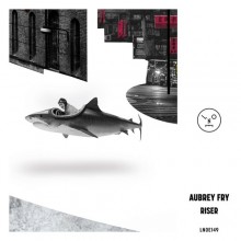 Aubrey Fry - Riser EP (Last Night On Earth)